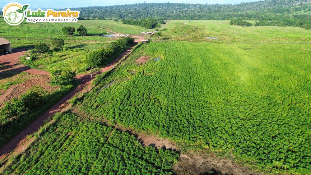 Terreno à venda, 3000m² - Foto 1