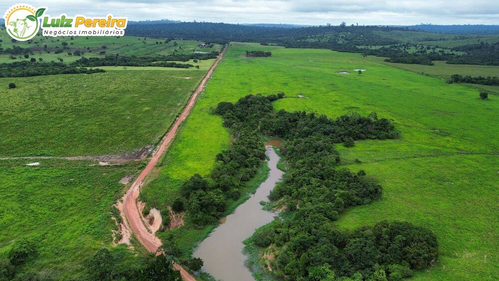 Terreno à venda, 3000m² - Foto 2