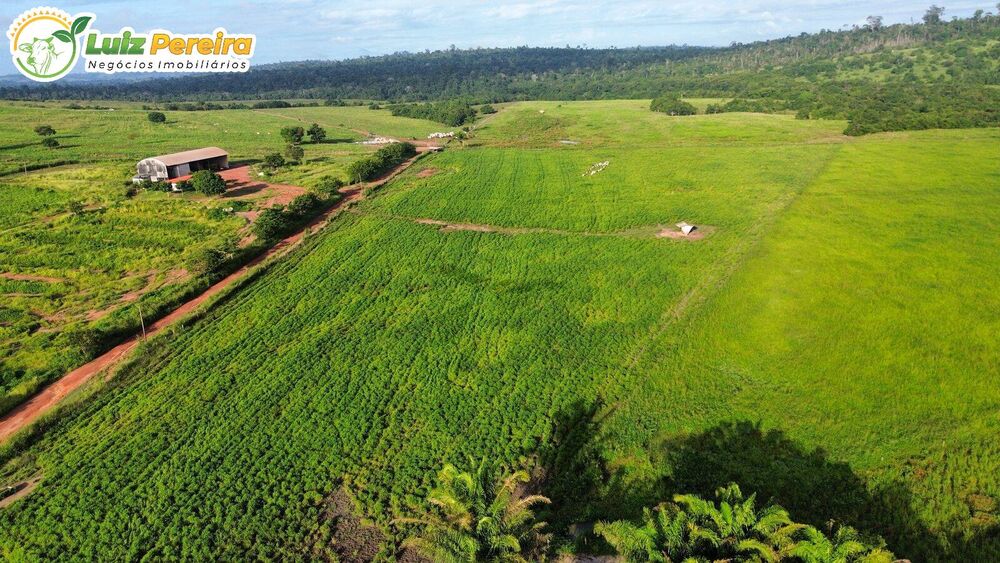 Terreno à venda, 3000m² - Foto 4