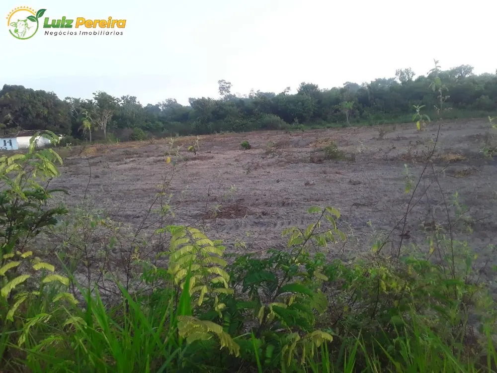 Terreno, 3000 m² - Foto 16
