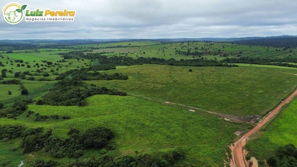 Terreno à venda, 3000m² - Foto 3