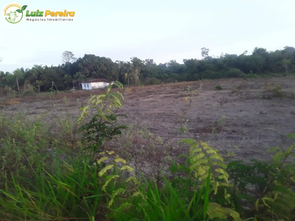 Terreno, 3000 m² - Foto 6