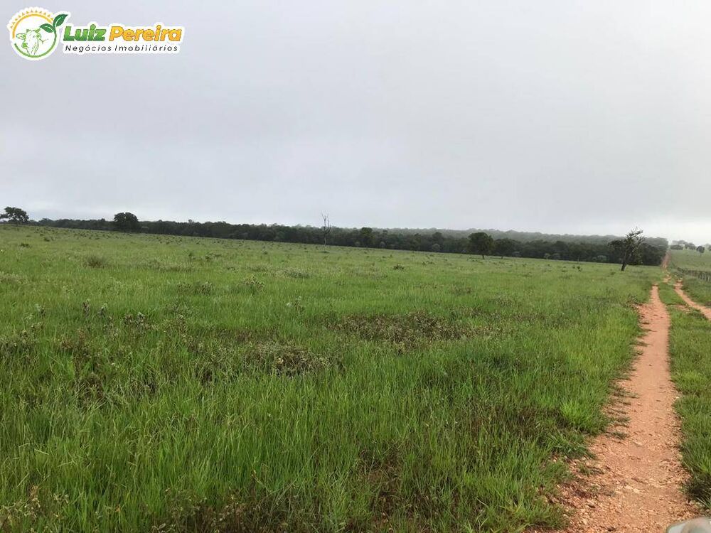 Terreno, 2400 m² - Foto 4