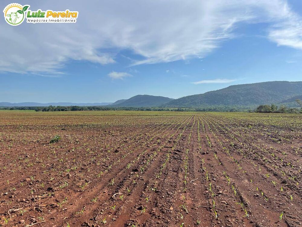 Terreno à venda, 1519m² - Foto 2