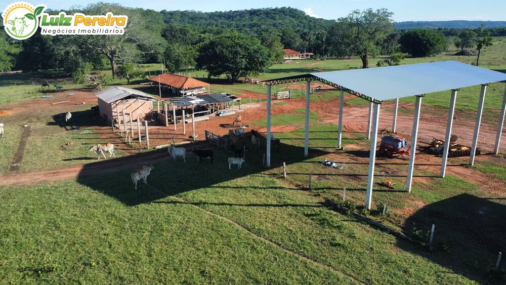 Terreno, 2300 m² - Foto 1