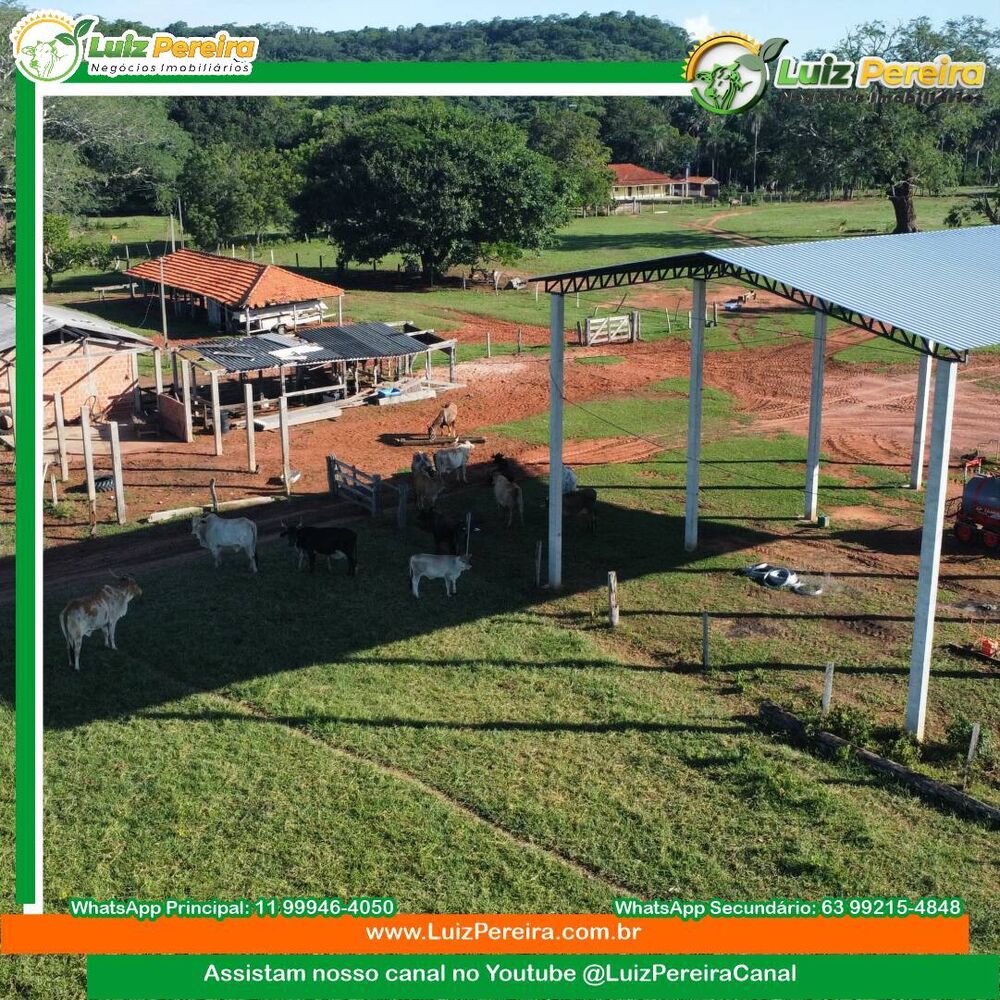 Terreno, 2300 m² - Foto 3