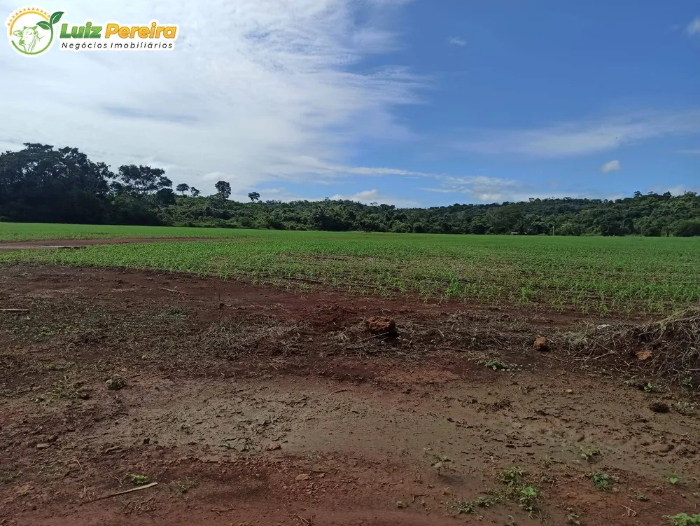 Terreno, 3650 hectares - Foto 7