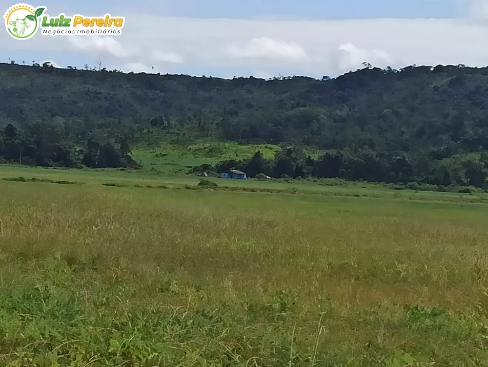 Terreno, 3650 hectares - Foto 6