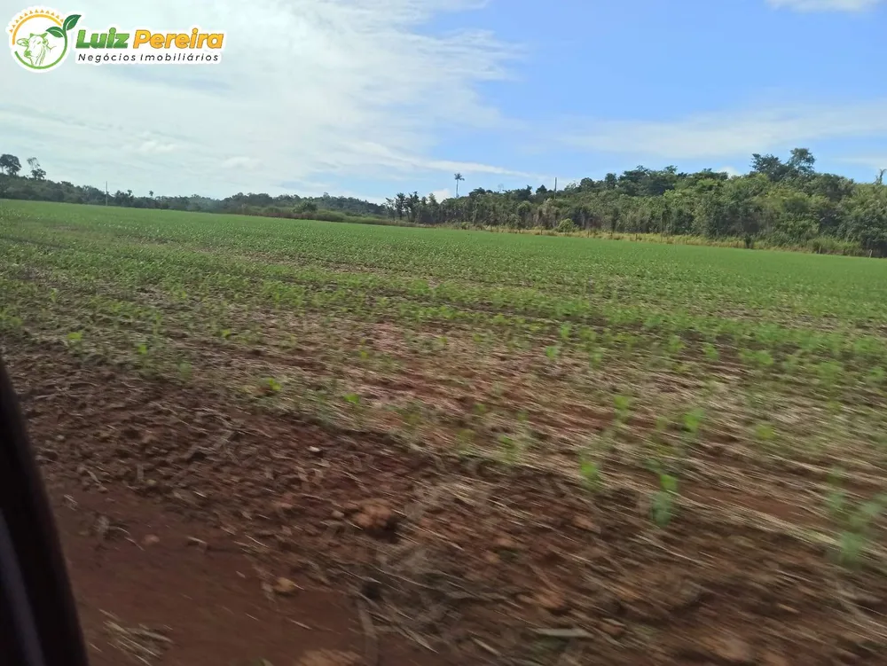 Terreno, 3650 hectares - Foto 9