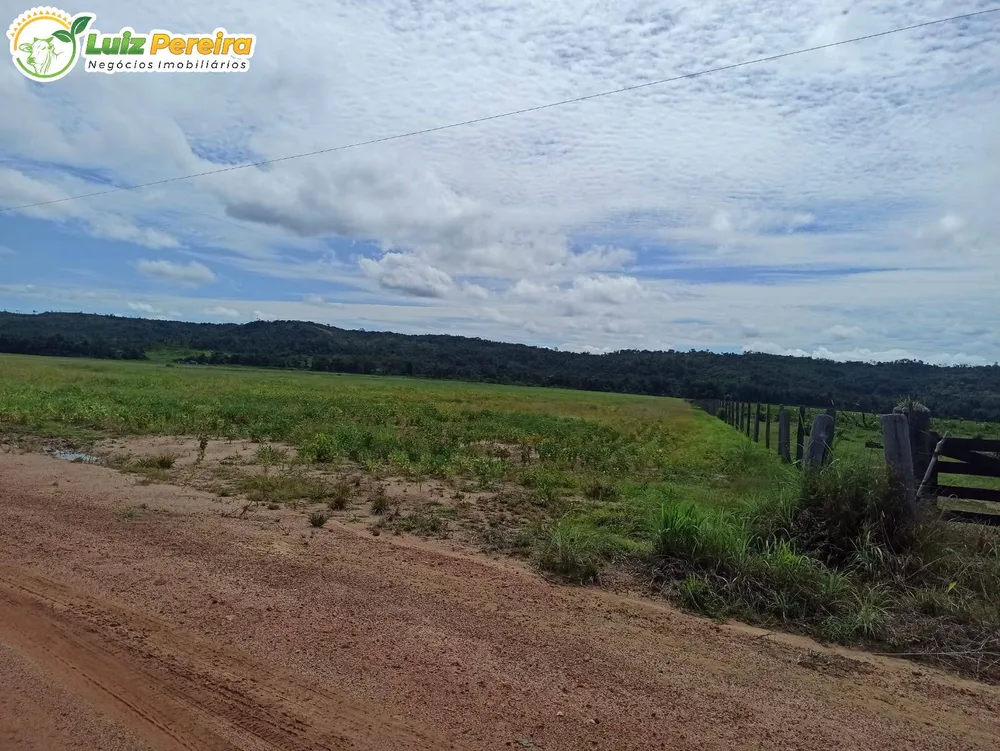 Terreno, 3650 hectares - Foto 8