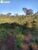 Terreno, 608 hectares - Foto 1