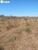 Terreno, 608 hectares - Foto 3