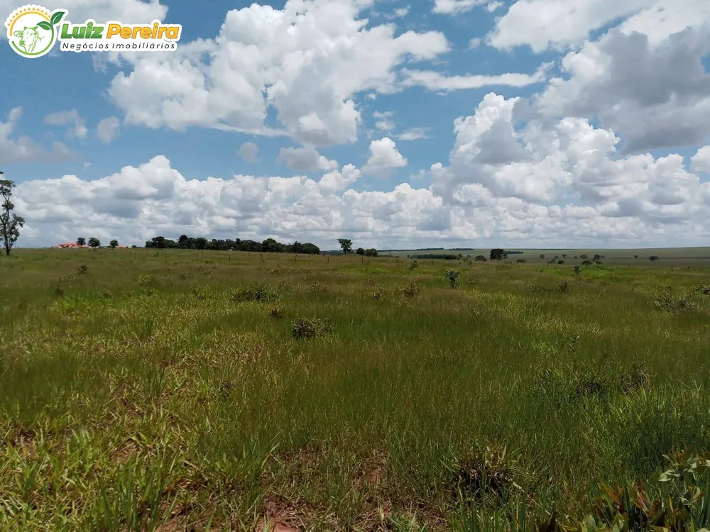 Terreno, 340 hectares - Foto 4