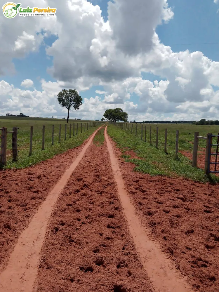 Terreno, 340 hectares - Foto 14