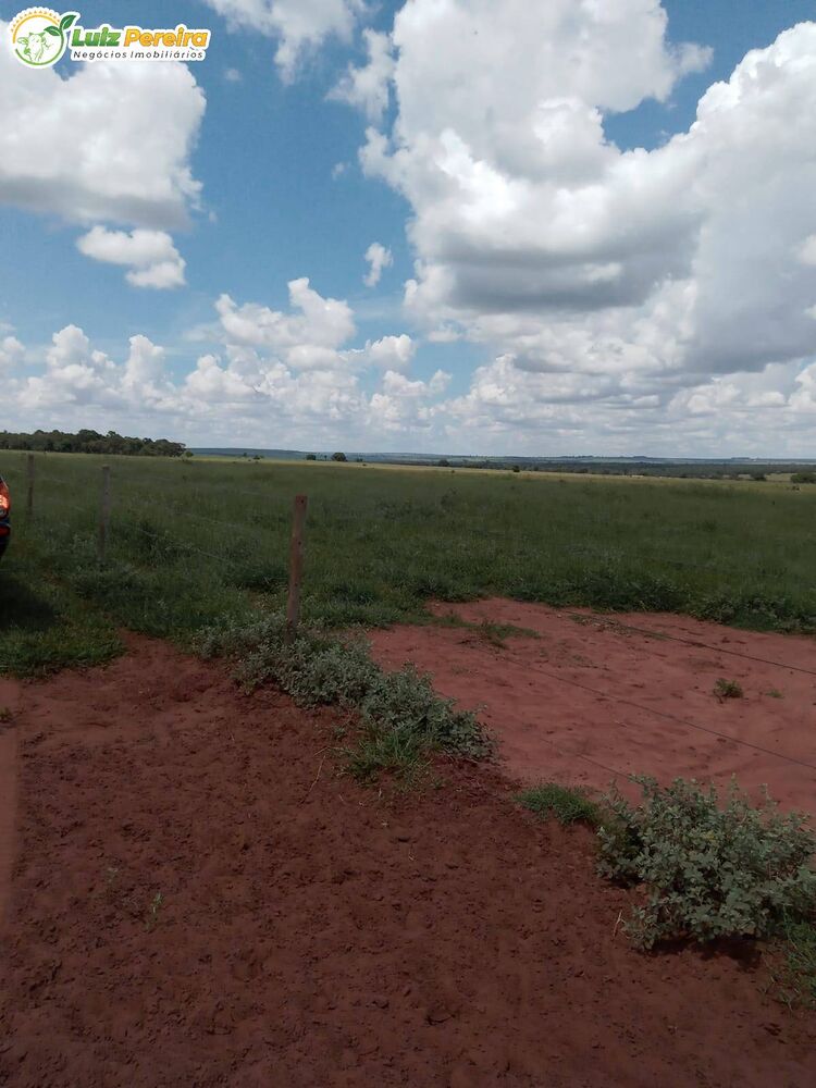 Terreno, 340 hectares - Foto 3