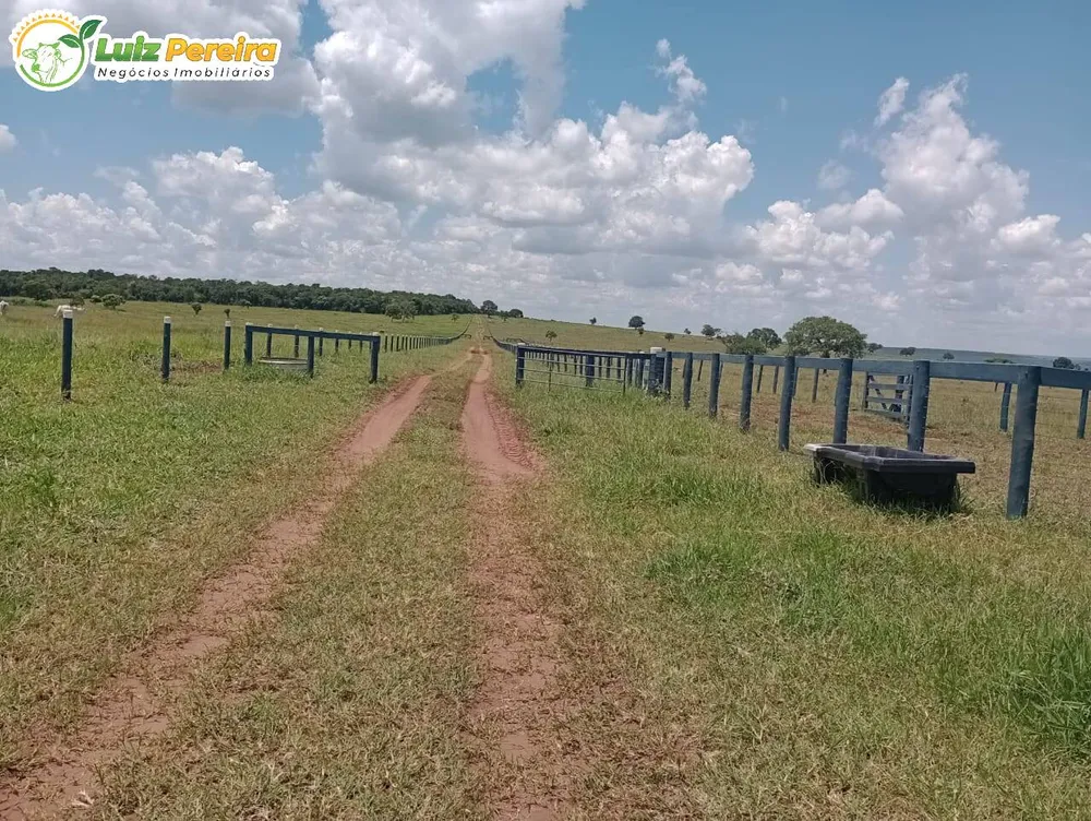 Terreno, 340 hectares - Foto 2
