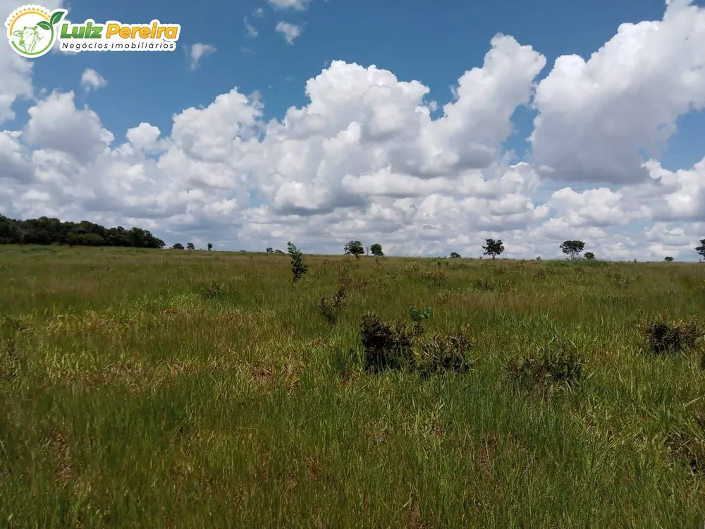 Terreno, 340 hectares - Foto 3