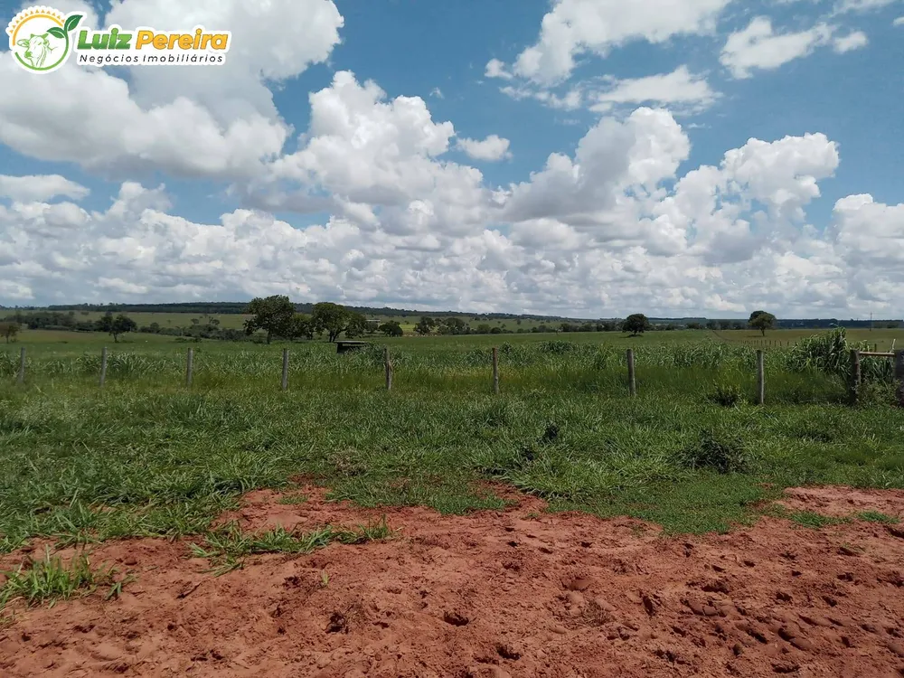 Terreno, 340 hectares - Foto 12