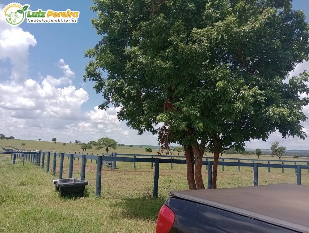 Terreno, 340 hectares - Foto 4