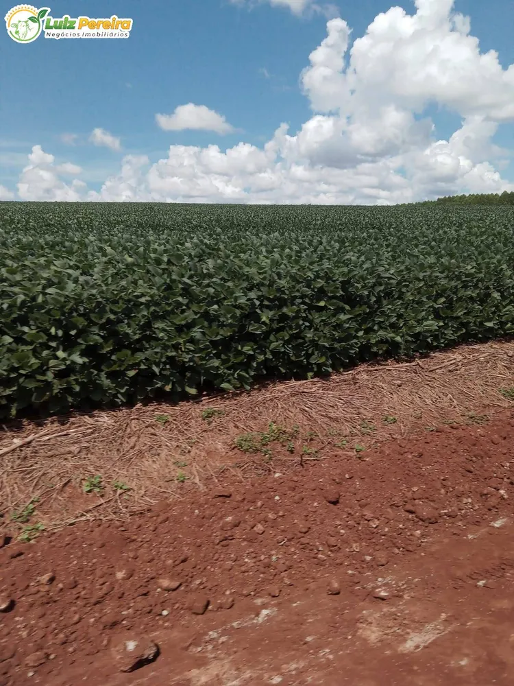 Terreno, 340 hectares - Foto 15