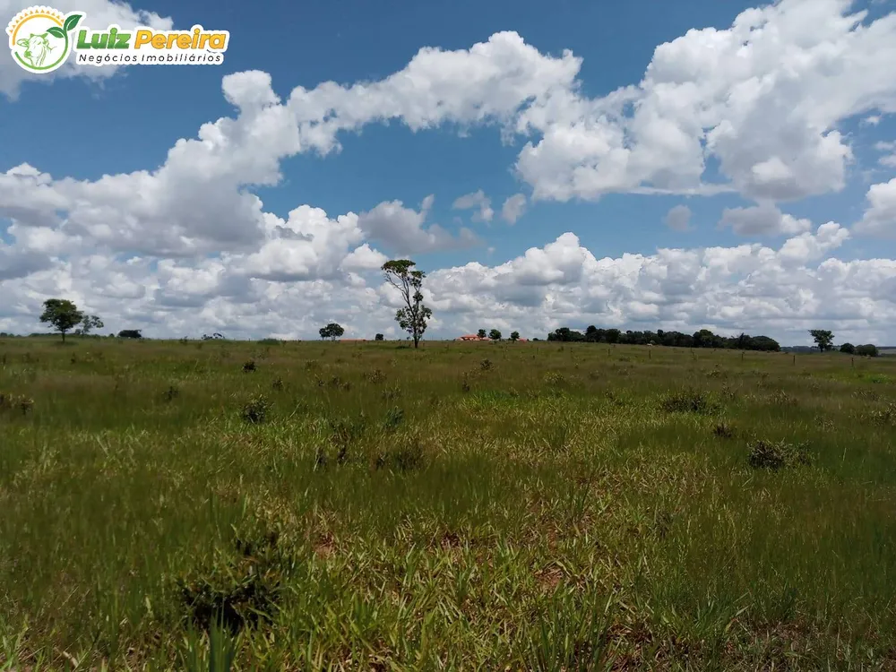 Terreno, 340 hectares - Foto 6