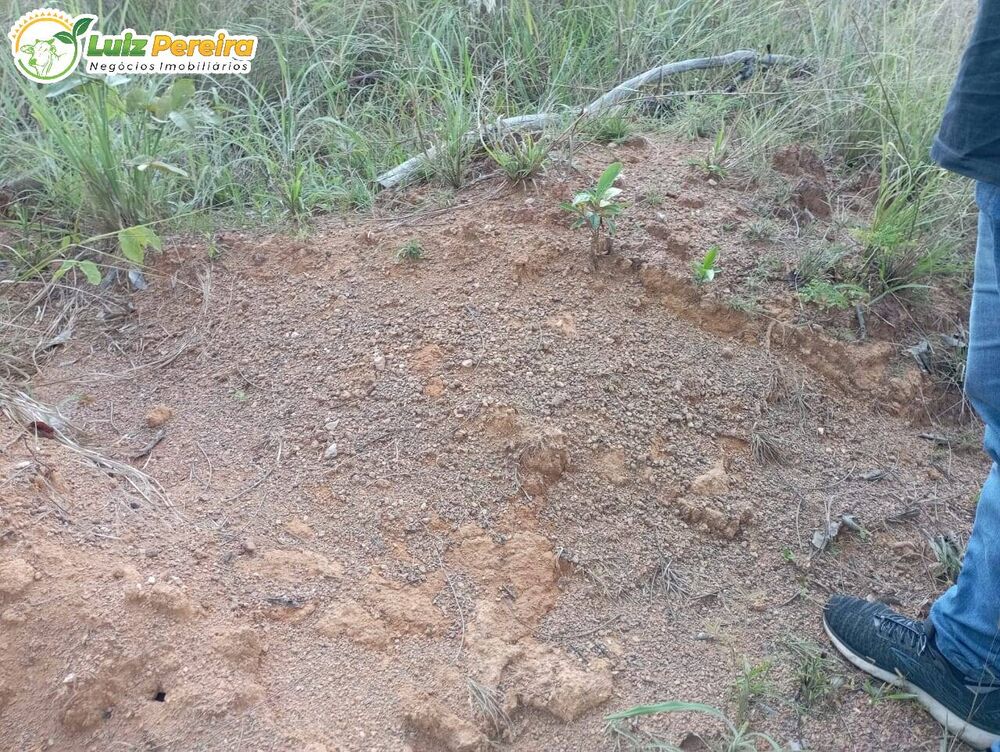 Terreno, 1144 m² - Foto 4