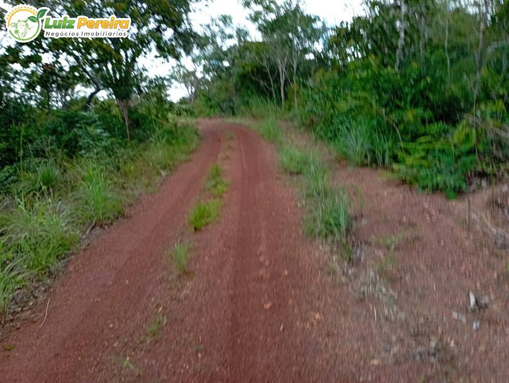 Terreno, 1144 m² - Foto 2