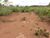 Terreno, 1144 m² - Foto 3