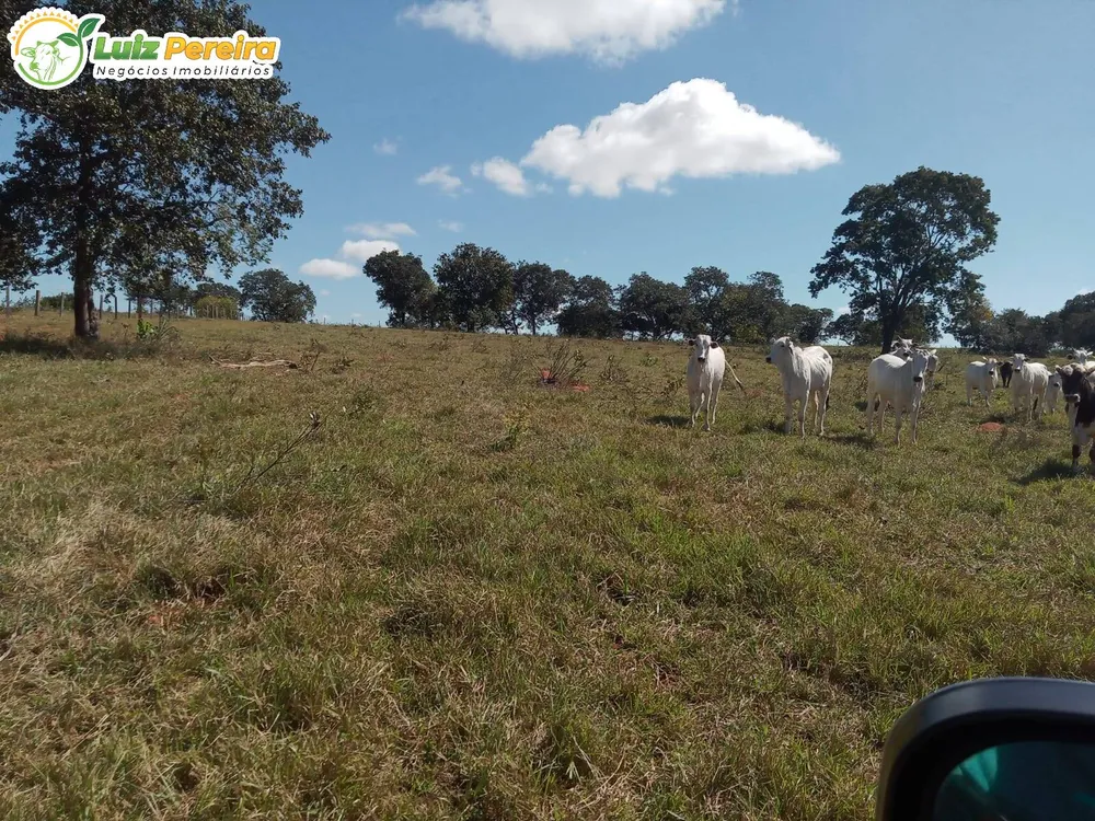 Terreno, 228 hectares - Foto 2