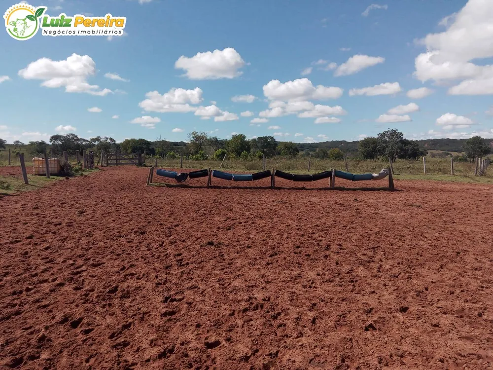 Terreno, 228 hectares - Foto 11