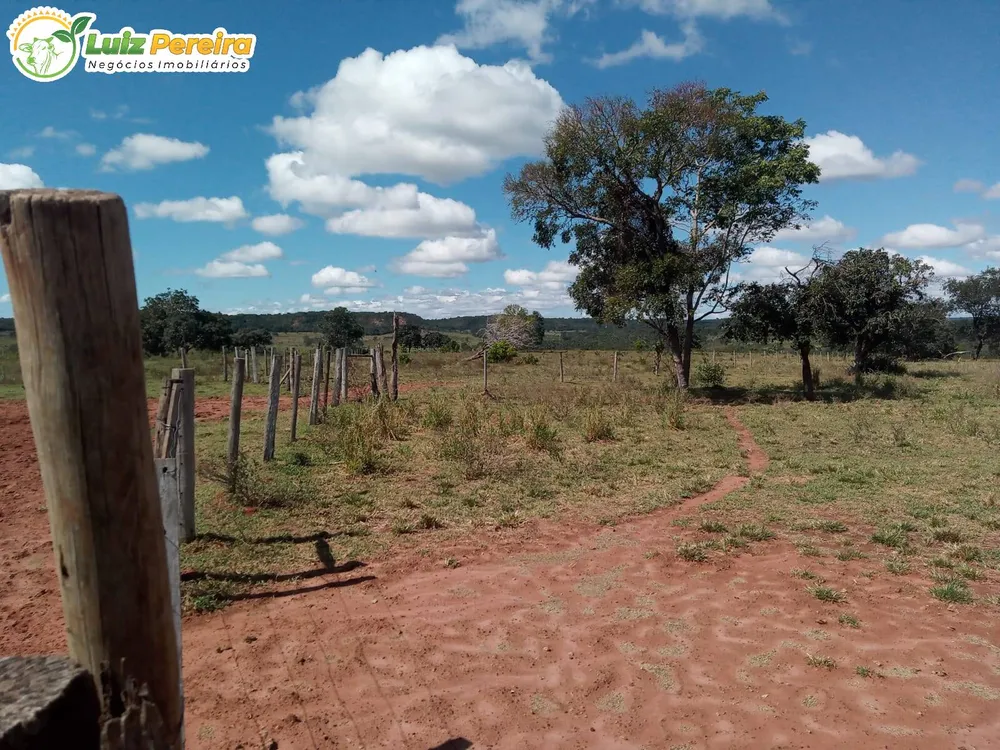Terreno, 228 hectares - Foto 12