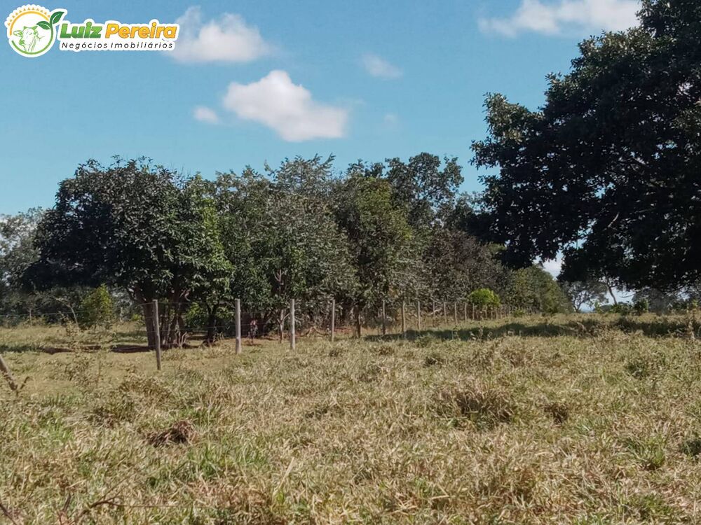 Terreno, 228 hectares - Foto 7