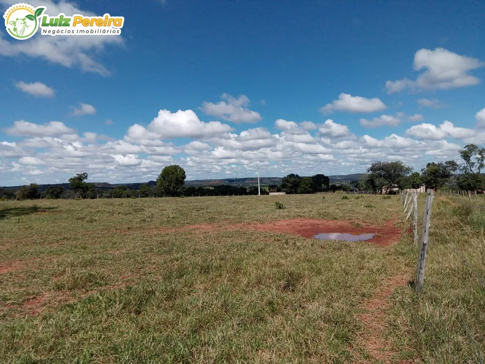 Terreno, 228 hectares - Foto 7