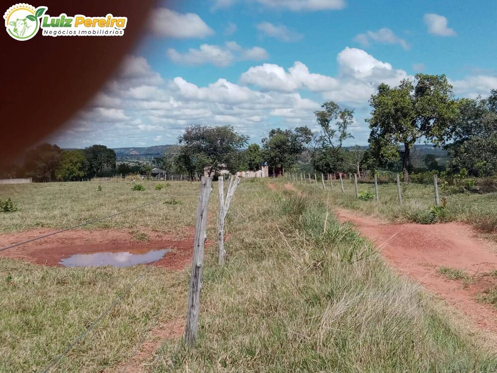 Terreno, 228 hectares - Foto 8