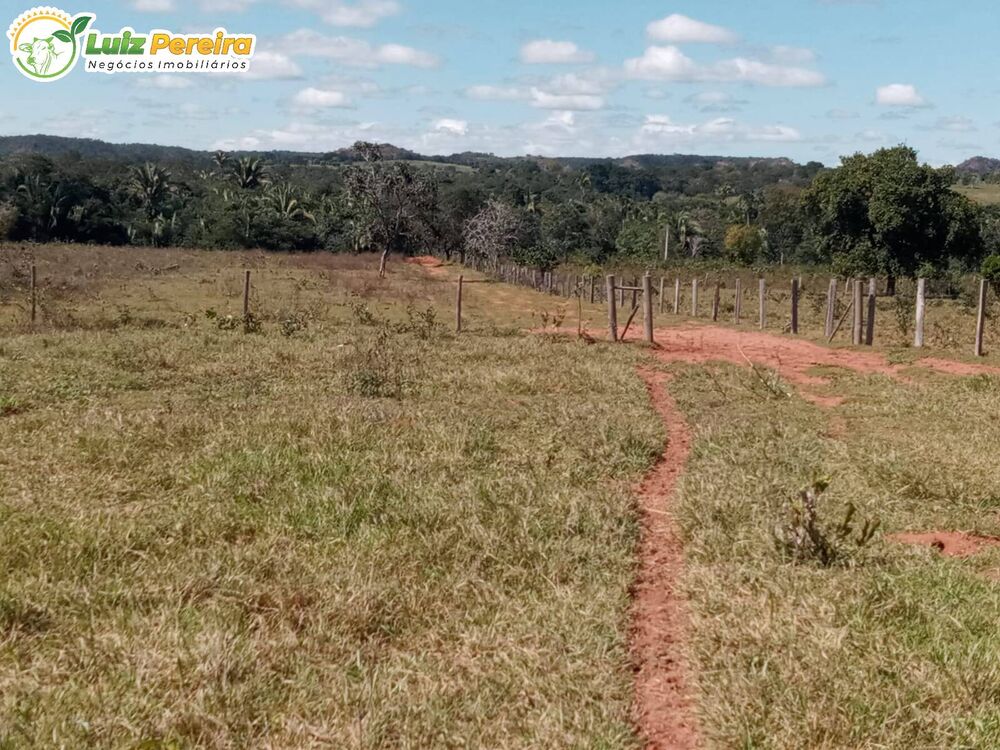 Terreno, 228 hectares - Foto 6