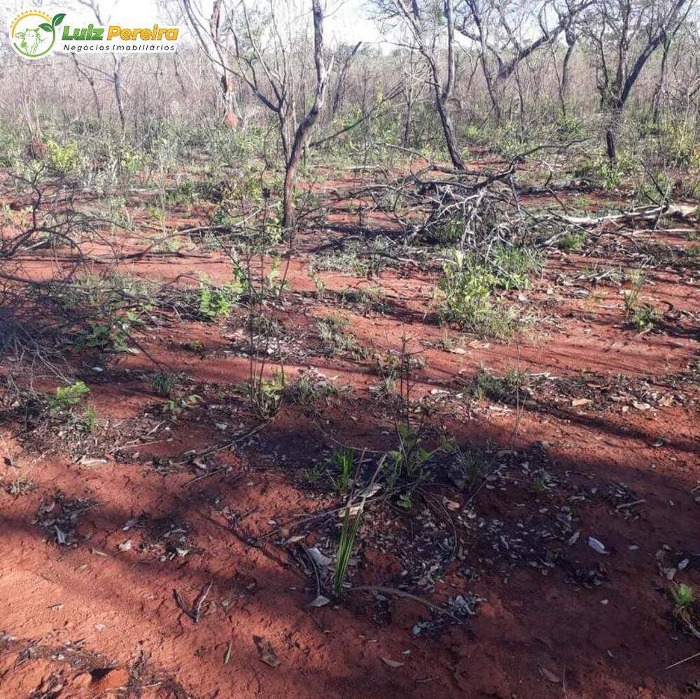 Terreno, 16 hectares - Foto 1