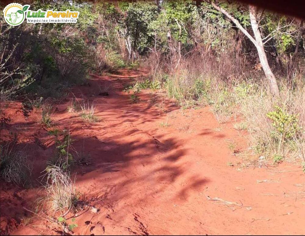 Terreno, 16 hectares - Foto 2