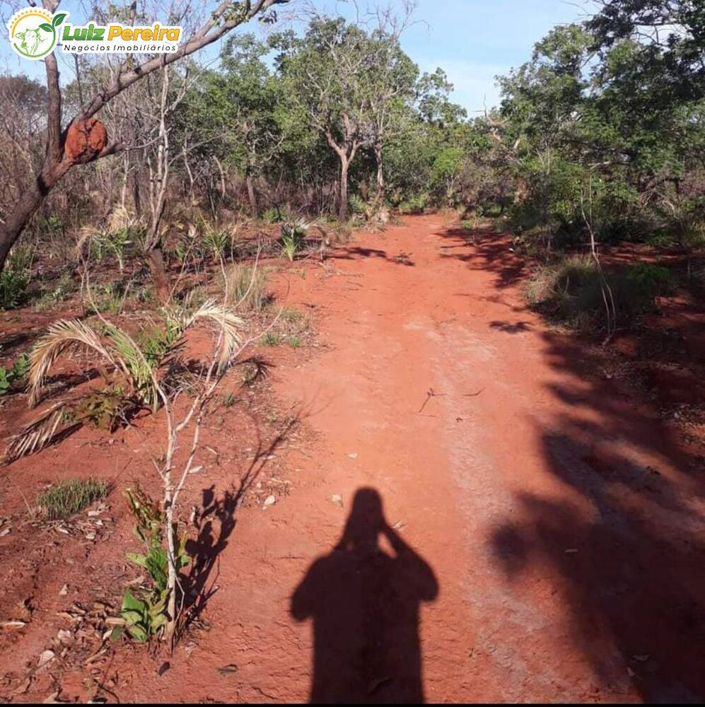 Terreno, 16 hectares - Foto 3