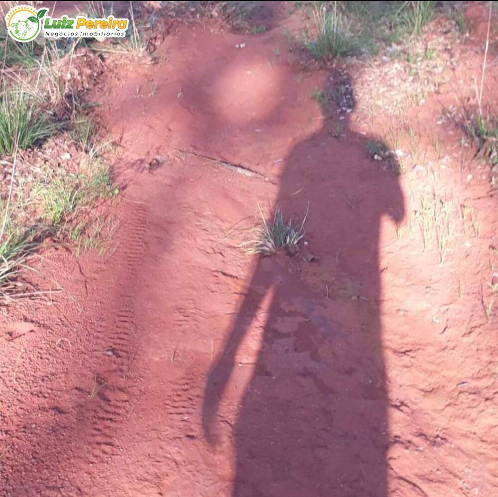 Terreno, 16 hectares - Foto 4