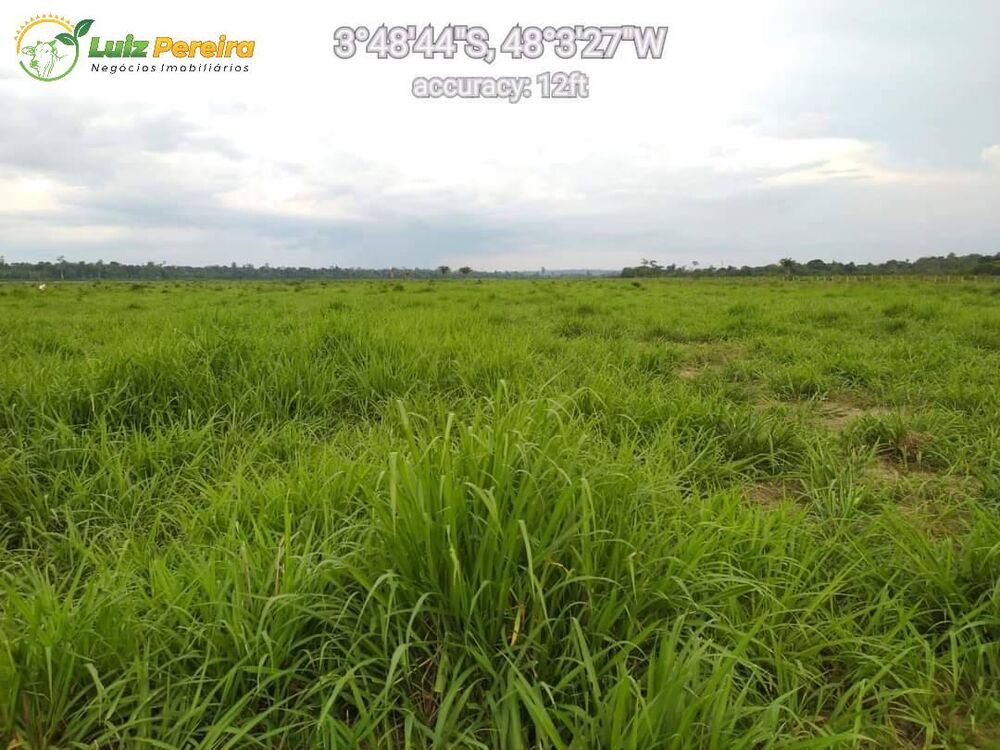 Terreno, 2458 m² - Foto 3