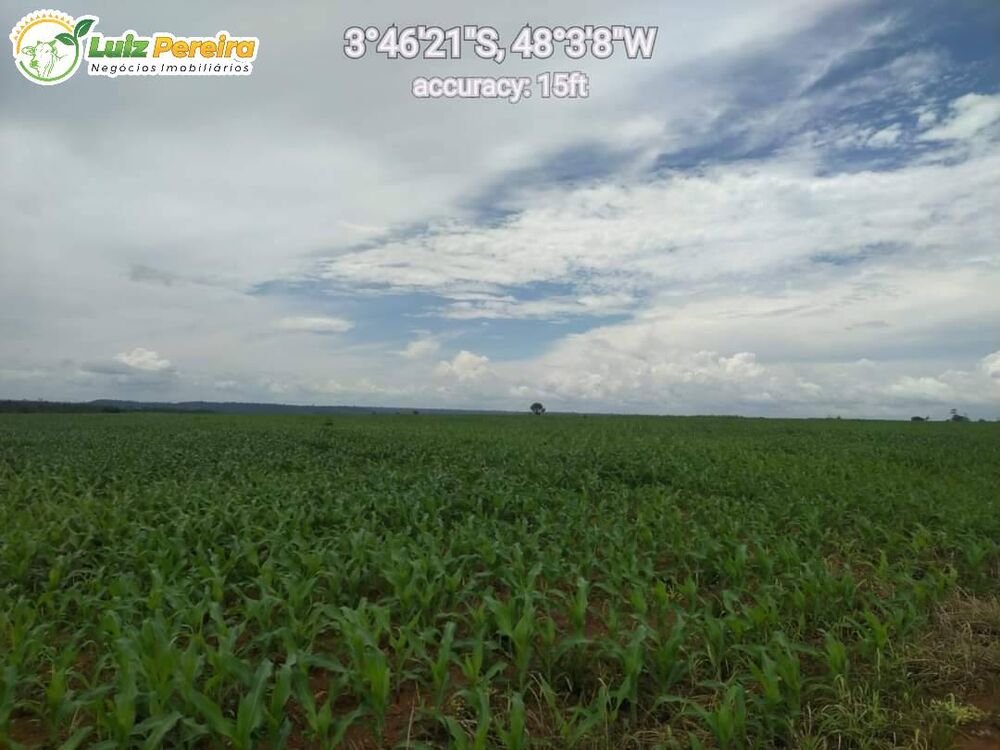 Terreno, 2458 m² - Foto 2