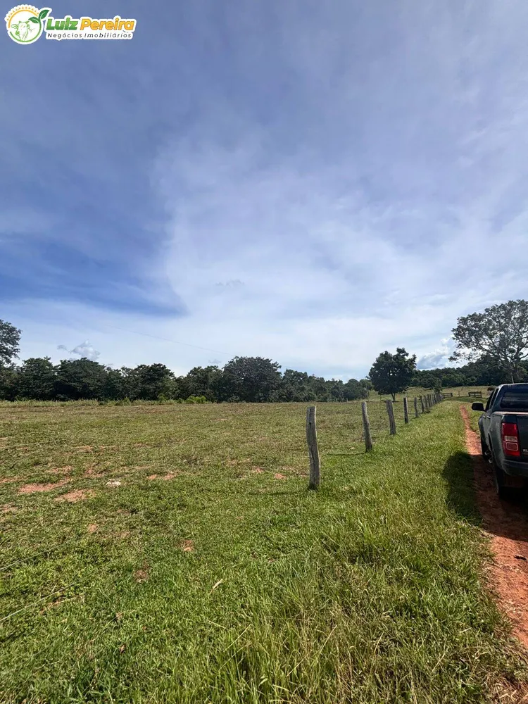 Terreno, 5000 m² - Foto 5