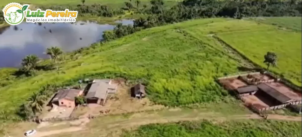Terreno, 1300 m² - Foto 3