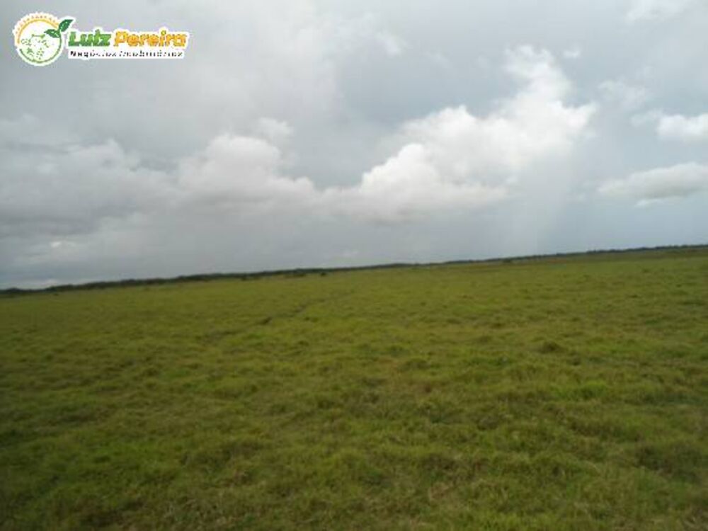 Terreno, 9 hectares - Foto 1