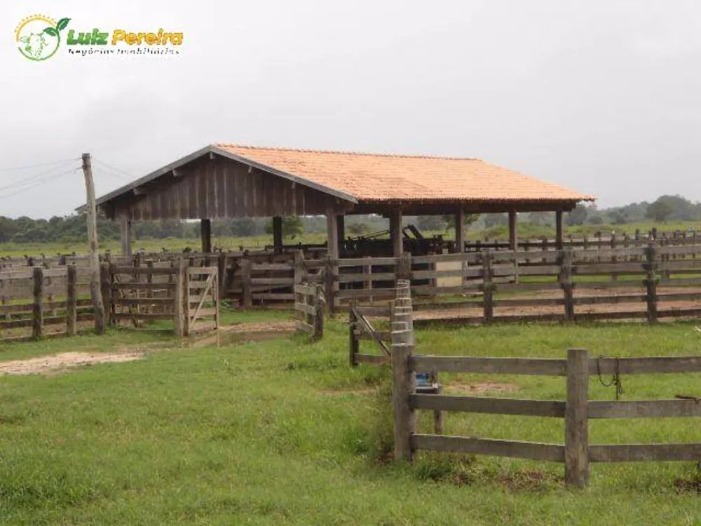 Terreno, 9 hectares - Foto 17