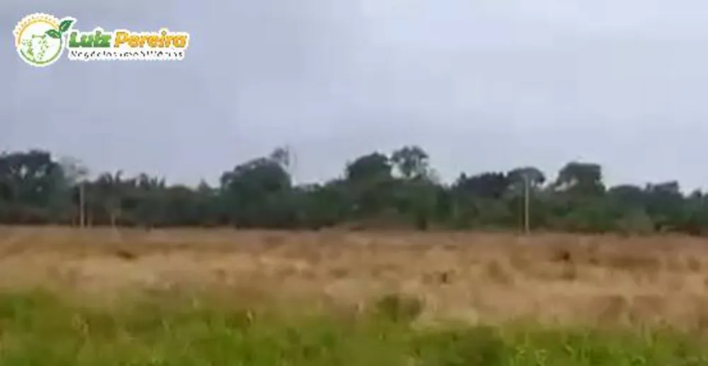 Terreno, 9 hectares - Foto 19