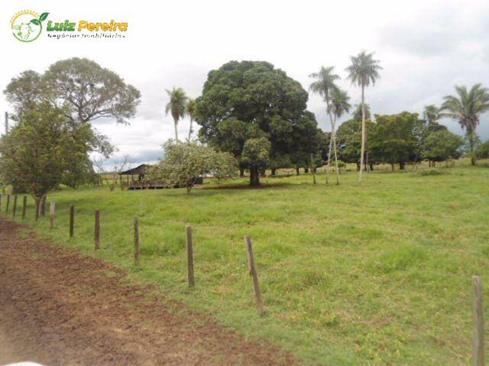 Terreno, 9 hectares - Foto 3