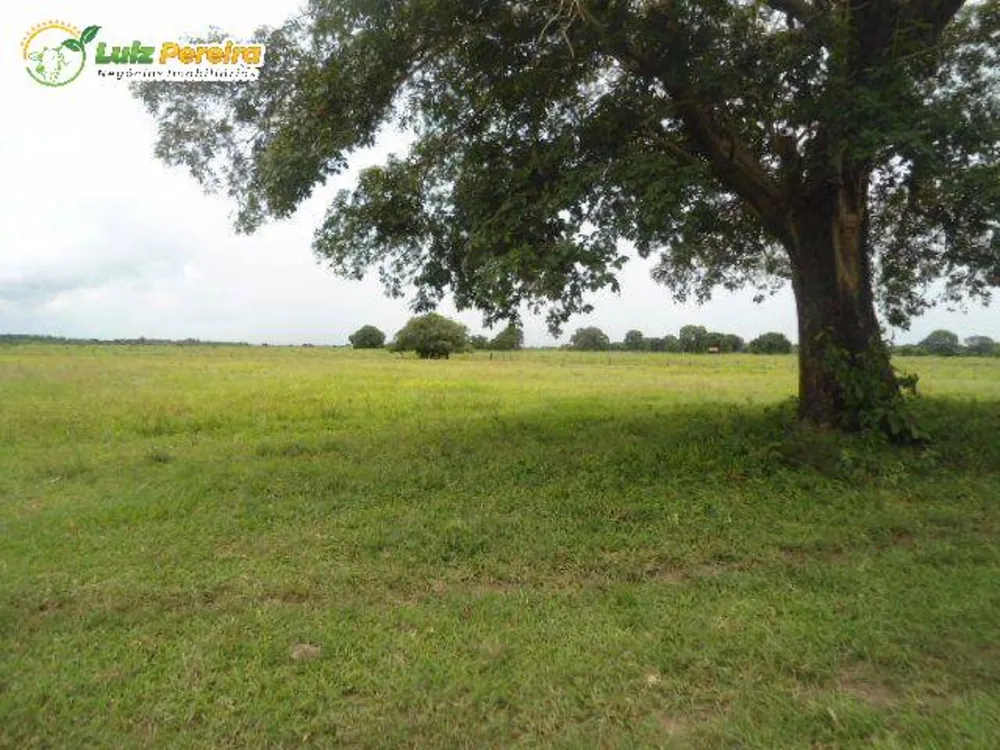 Terreno, 9 hectares - Foto 9