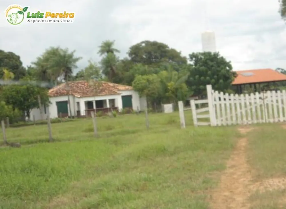 Terreno, 9 hectares - Foto 15