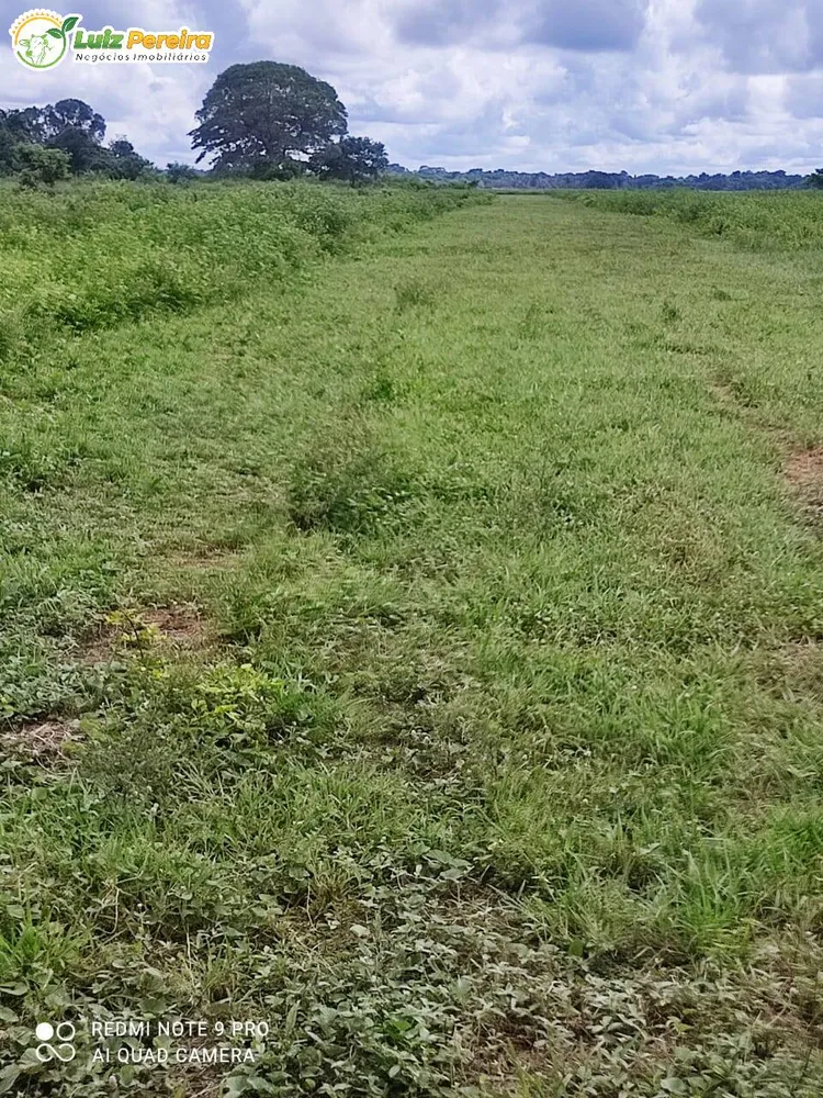 Terreno, 9 hectares - Foto 10